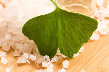 Image showing fresh leaves ginko biloba essential oil and sea salt - beauty tr