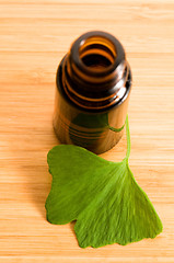 Image showing ginko biloba essential oil with fresh leaves - beauty treatment