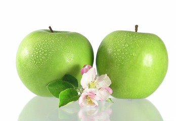 Image showing green apple