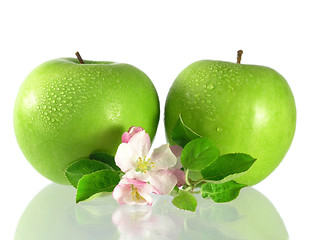 Image showing green apple