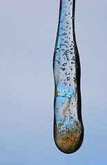 Image showing forrest in an icicle