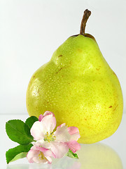 Image showing yellow pear