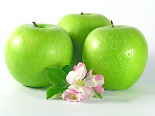 Image showing green apple