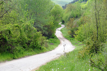 Image showing Long Winding Dirt Road