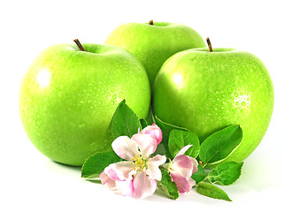 Image showing green apple