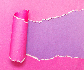 Image showing torn paper