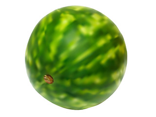 Image showing illustration of juicy water melon