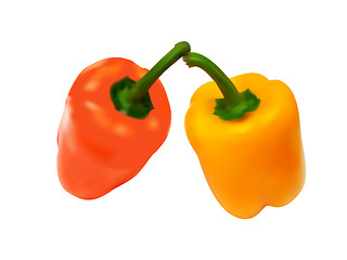 Image showing vector illustration of the colorful paprika