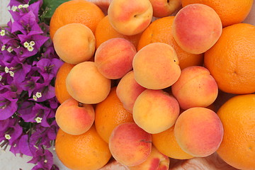 Image showing Fruits and bougainvillea