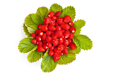 Image showing Strawberries with leaves