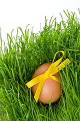 Image showing easter egg and grass