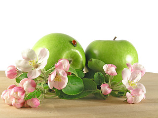 Image showing green apple