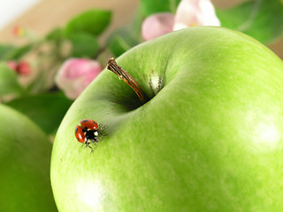 Image showing green apple