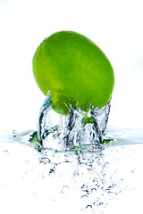 Image showing lime splashing