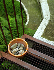 Image showing Garden Steps