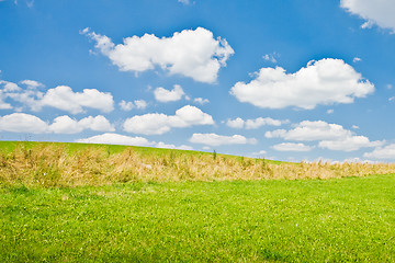 Image showing agriculture landscape