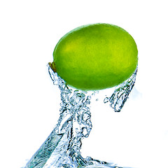 Image showing lime splashing