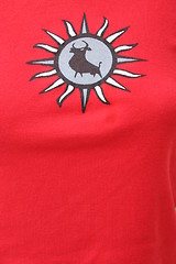 Image showing Bull on woman T-shirt