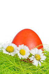 Image showing easter egg in nest