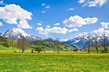 Image showing alpine landscape