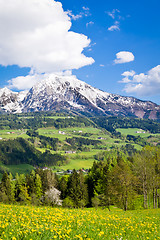 Image showing alpine landscape