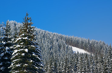 Image showing Ski Resort