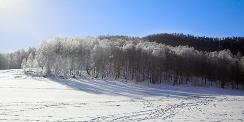 Image showing winter landscape