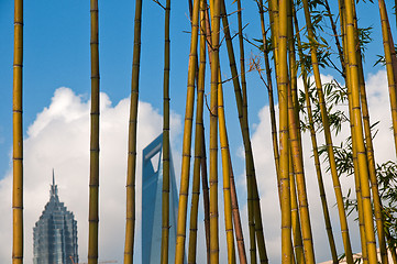 Image showing shanghai pudong view from puxi 