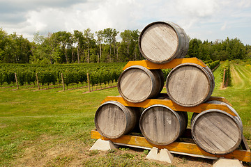 Image showing Wine barrels