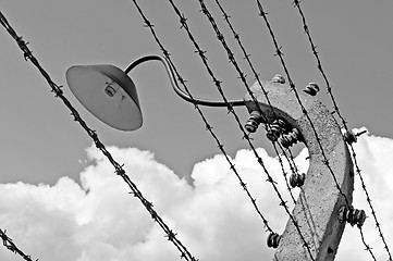 Image showing Auschwitz Birkenau concentration camp.