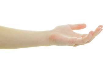 Image showing Hand of the girl on a white background