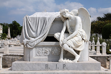 Image showing Cemetery in Havana