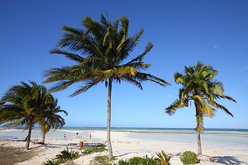 Image showing Cuba