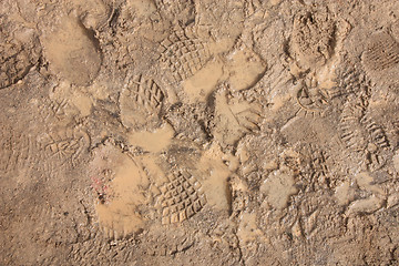 Image showing Shoeprints