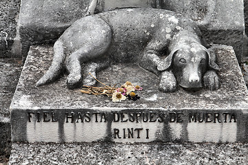 Image showing Dog grave