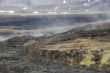 Image showing Iceland lava field