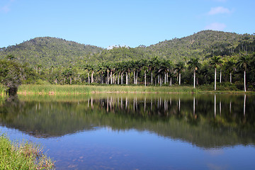 Image showing Cuba - Las Terrazas