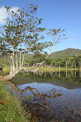 Image showing Cuba - Las Terrazas