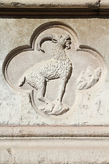 Image showing Capricorn