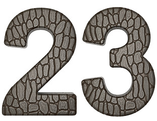 Image showing Alligator skin font 2 3 digits isolated