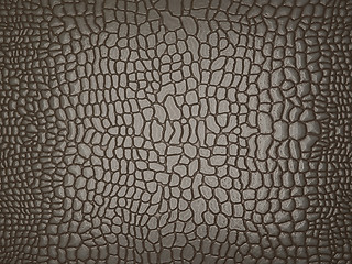 Image showing Grey Alligator skin: useful as texture or background