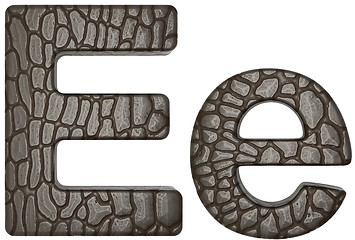 Image showing Alligator skin font E lowercase and capital letters