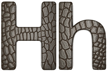 Image showing Alligator skin font H lowercase and capital letters