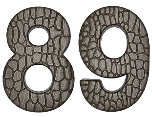 Image showing Alligator skin font 8 9 digits 