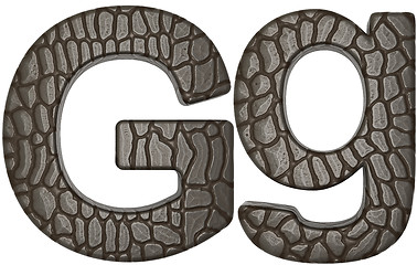 Image showing Alligator skin font G lowercase and capital letters