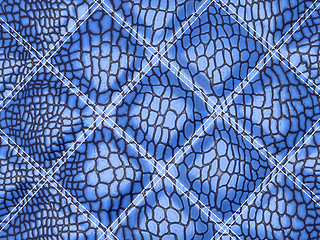 Image showing Blue Alligator skin with stitched rectangles