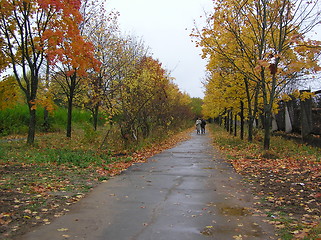 Image showing autumn mall