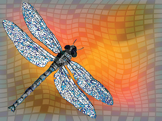 Image showing dragon fly