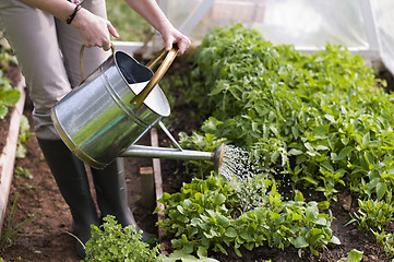 Image showing Gardening