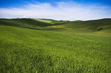 Image showing Tuscany landscape